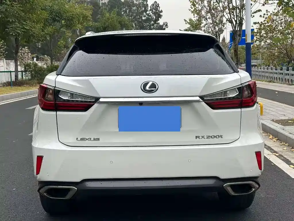 Lexus Lexus RX 300 2016 FWD Premium Edition China V 2017 - thumbnail 7