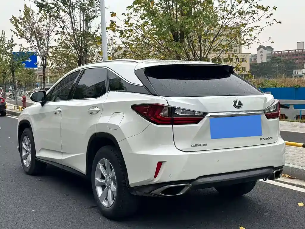 Lexus Lexus RX 300 2016 FWD Premium Edition China V 2017 - thumbnail 8