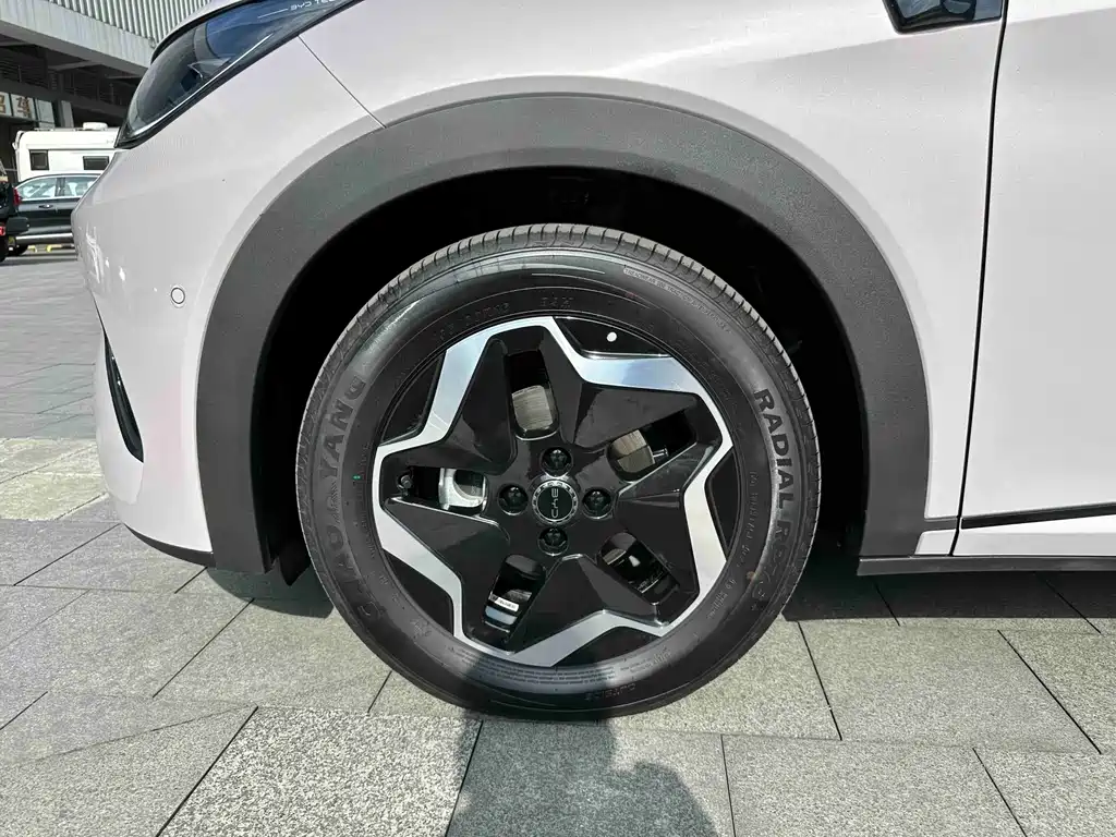 BYD Dolphin 2025 Intelligent Driving Edition 420km Freedom Edition 2025 - thumbnail 4