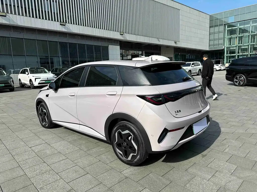 BYD Dolphin 2025 Intelligent Driving Edition 420km Freedom Edition 2025 - thumbnail 14