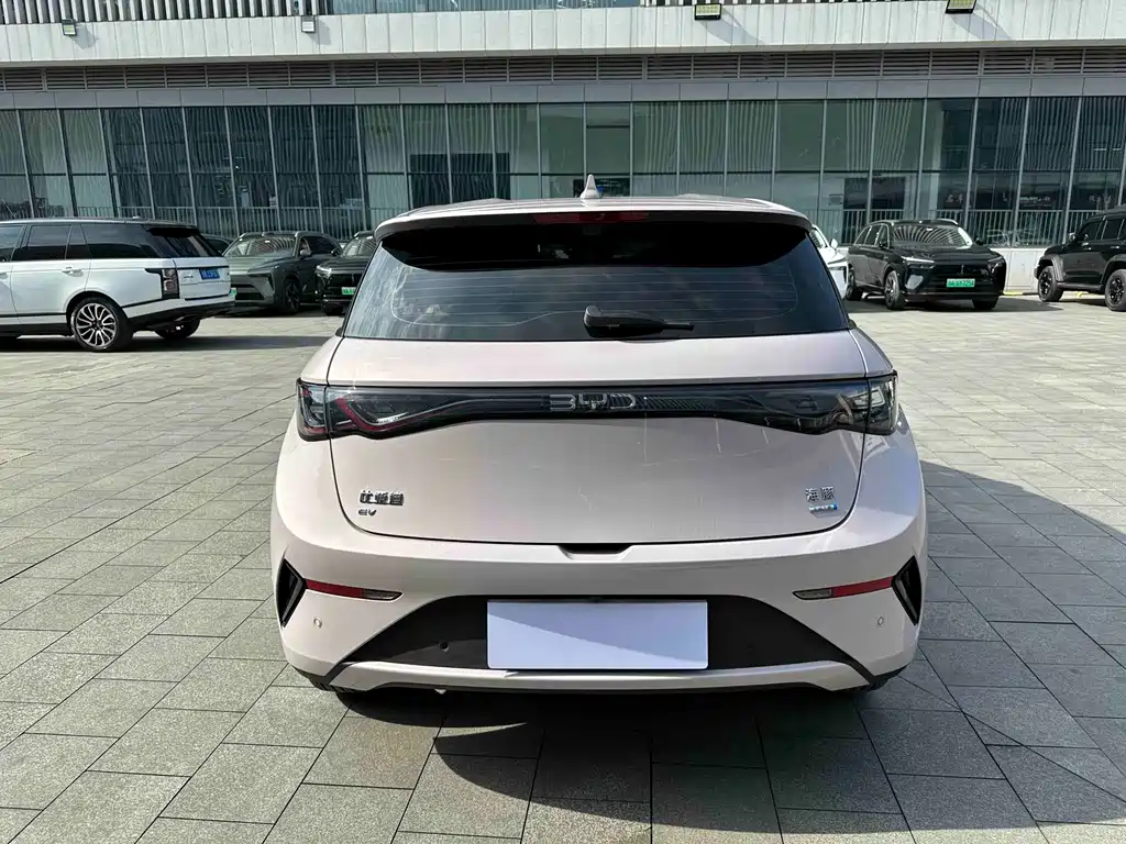 BYD Dolphin 2025 Intelligent Driving Edition 420km Freedom Edition 2025 - thumbnail 15