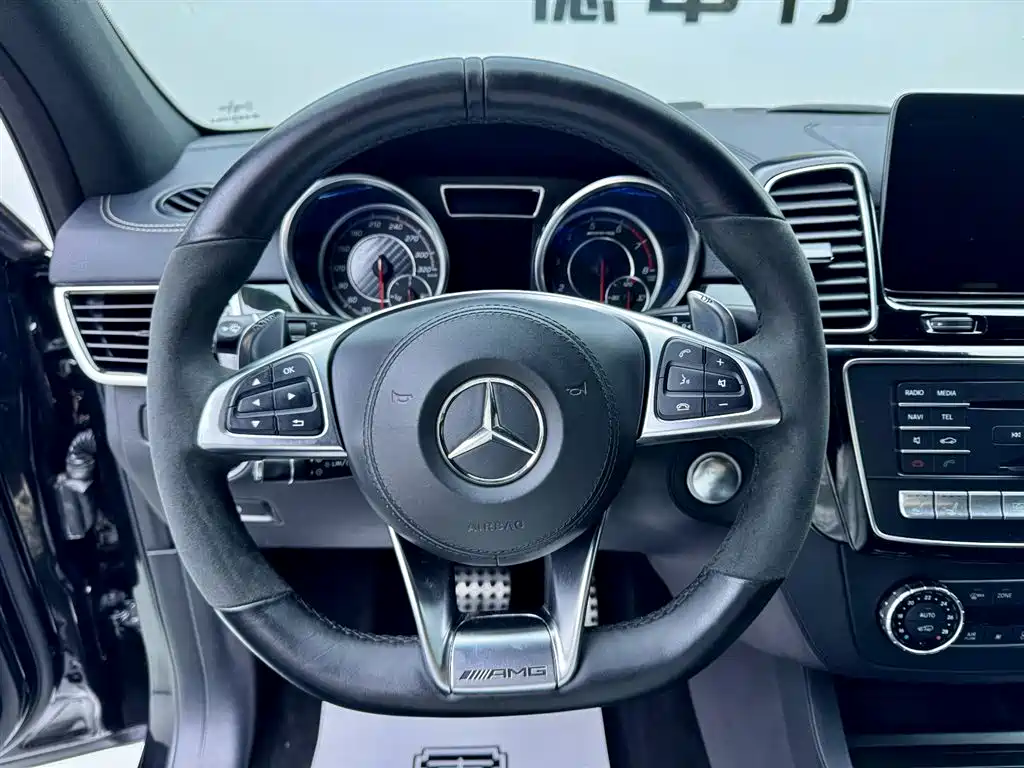 Mercedes-Benz Mercedes-Benz GLS AMG 2017 AMG GLS 63 4MATIC 2019 - thumbnail 12