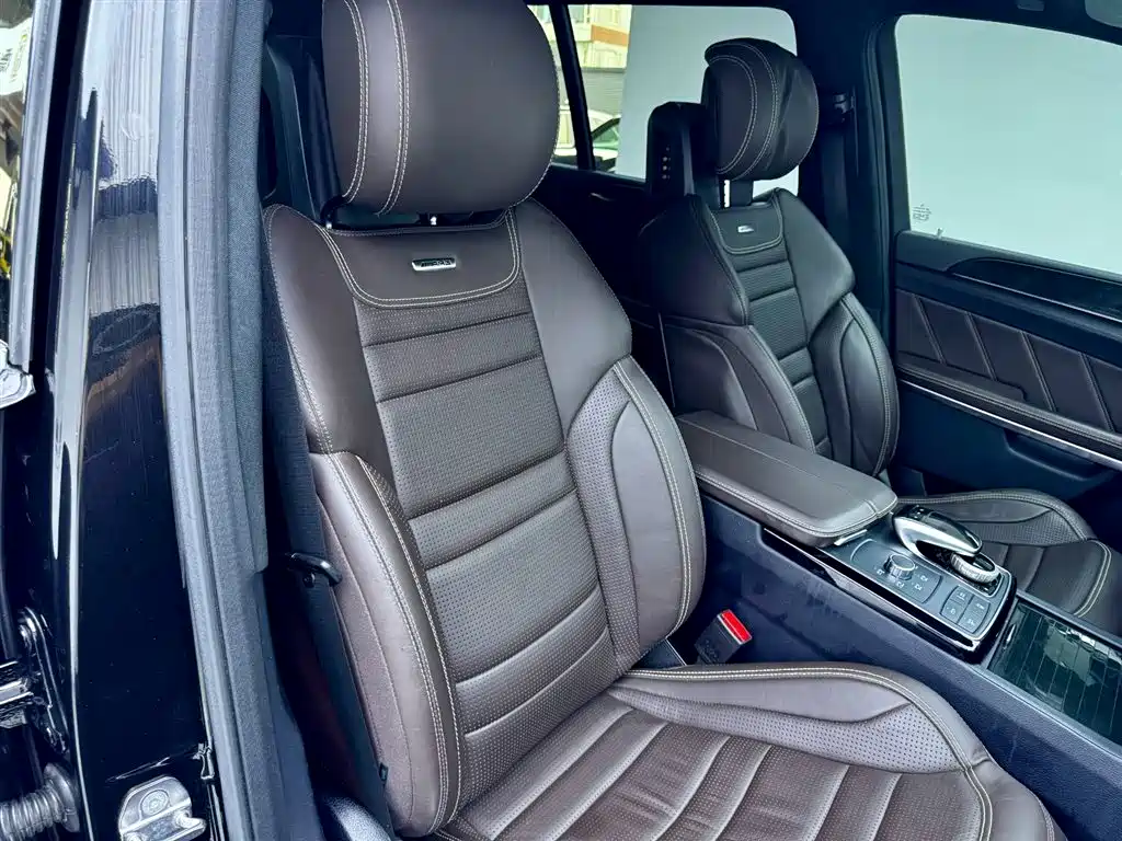 Mercedes-Benz Mercedes-Benz GLS AMG 2017 AMG GLS 63 4MATIC 2019 - thumbnail 18