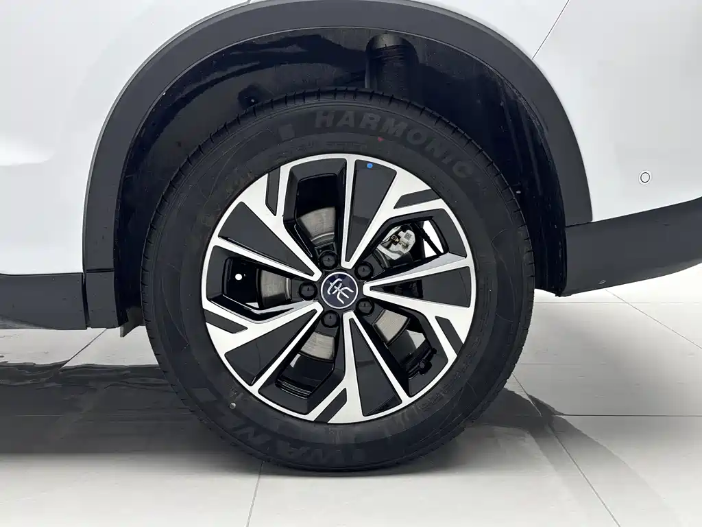BYD BYD Song Pro NEV 2026 DM-i 133KM Champion Edition 2025 - thumbnail 18