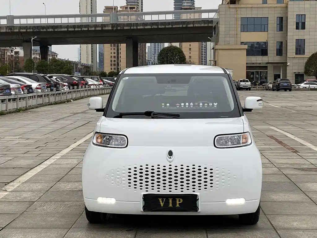 Ora Ora White Cat 2020 360km Luxury Edition 2020 - thumbnail 2