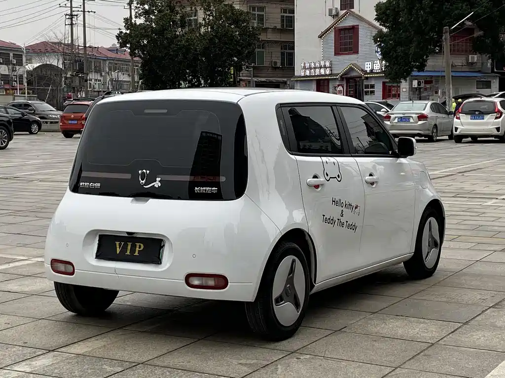 Ora Ora White Cat 2020 360km Luxury Edition 2020 - thumbnail 7