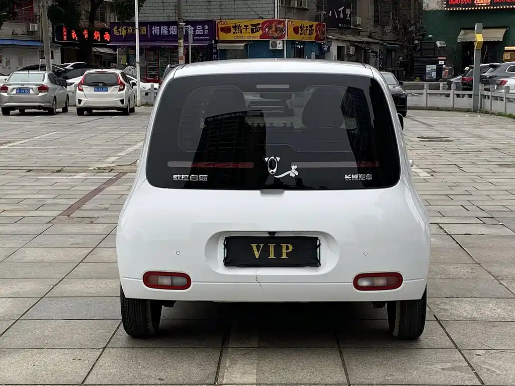 Ora Ora White Cat 2020 360km Luxury Edition 2020 - thumbnail 8
