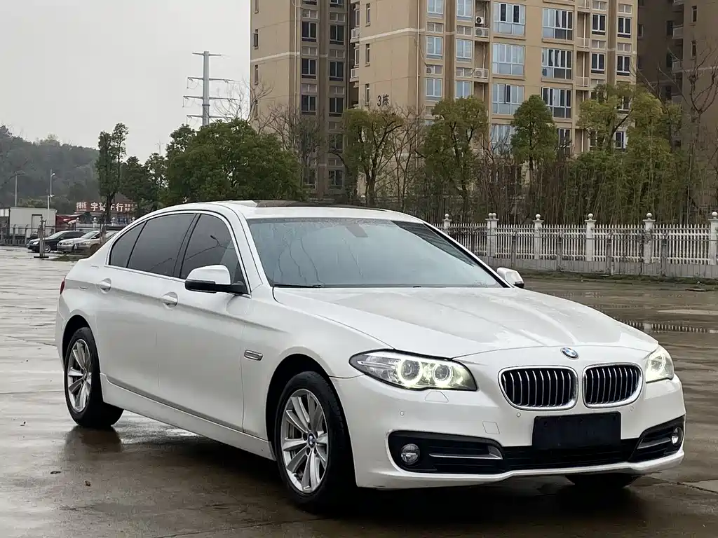 BMW BMW 5 Series 2014 520Li Elegant 2015 - thumbnail 3
