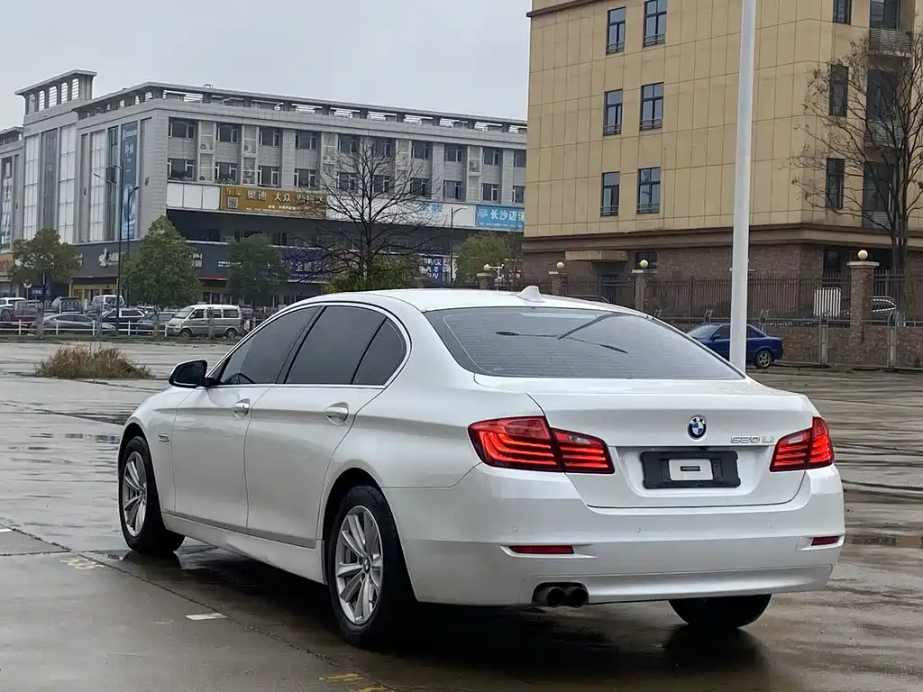 BMW BMW 5 Series 2014 520Li Elegant 2015 - thumbnail 9