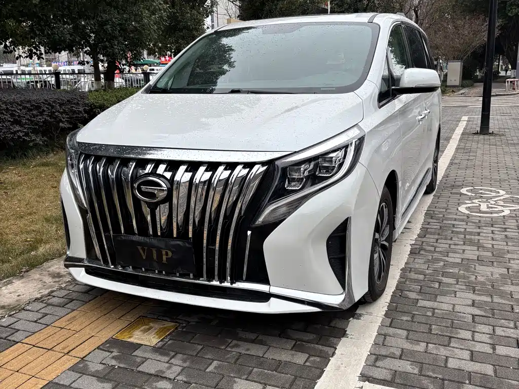 GAC Trumpchi GAC Trumpchi M8 2021 Edition Leader Series 390T Luxury Version 2021 - thumbnail 2
