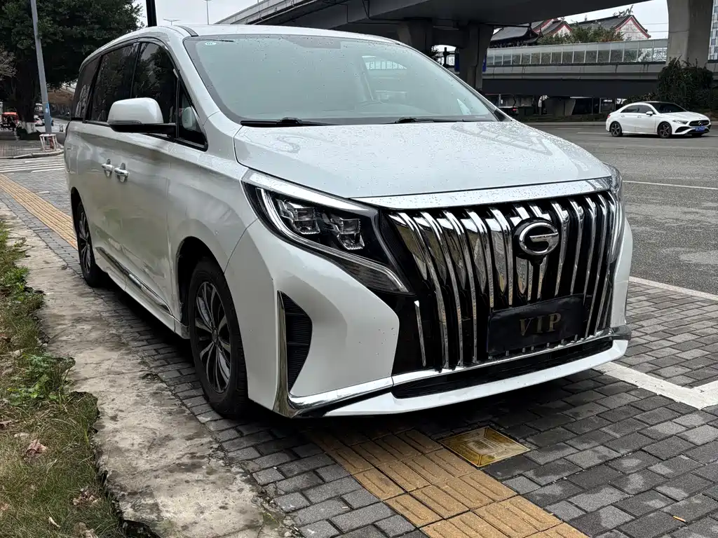 GAC Trumpchi GAC Trumpchi M8 2021 Edition Leader Series 390T Luxury Version 2021 - thumbnail 3