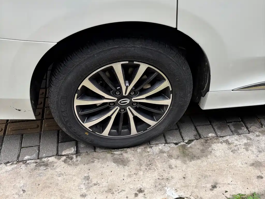 GAC Trumpchi GAC Trumpchi M8 2021 Edition Leader Series 390T Luxury Version 2021 - thumbnail 12