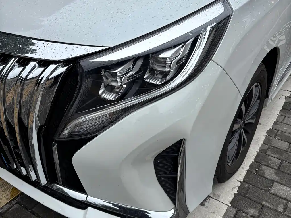 GAC Trumpchi GAC Trumpchi M8 2021 Edition Leader Series 390T Luxury Version 2021 - thumbnail 19