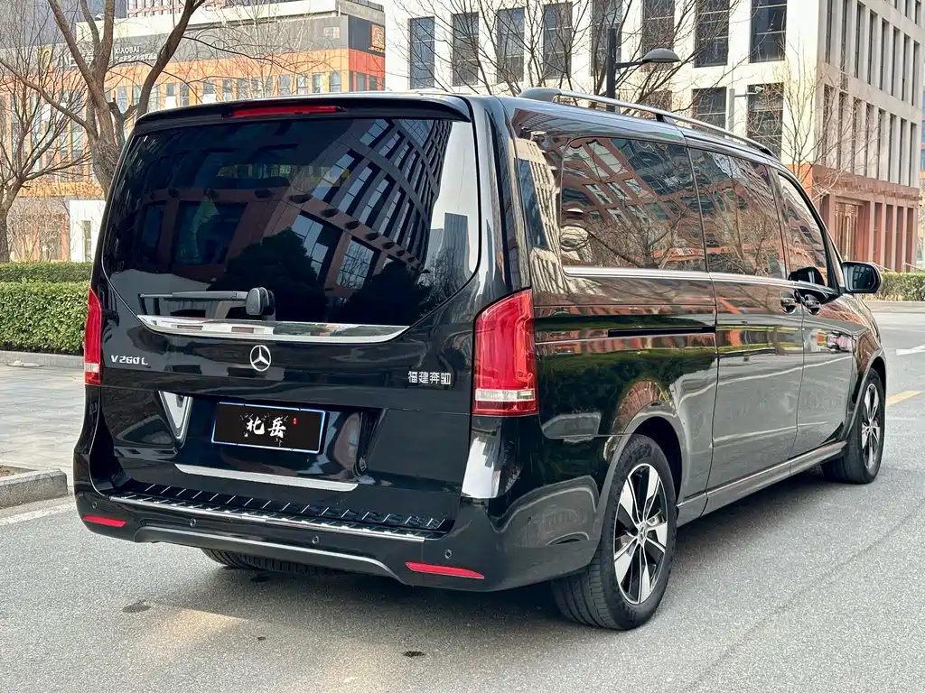 Mercedes-Benz Mercedes-Benz V-Class 2020 V 260 L Long Wheelbase Luxury Edition 2020 - thumbnail 6