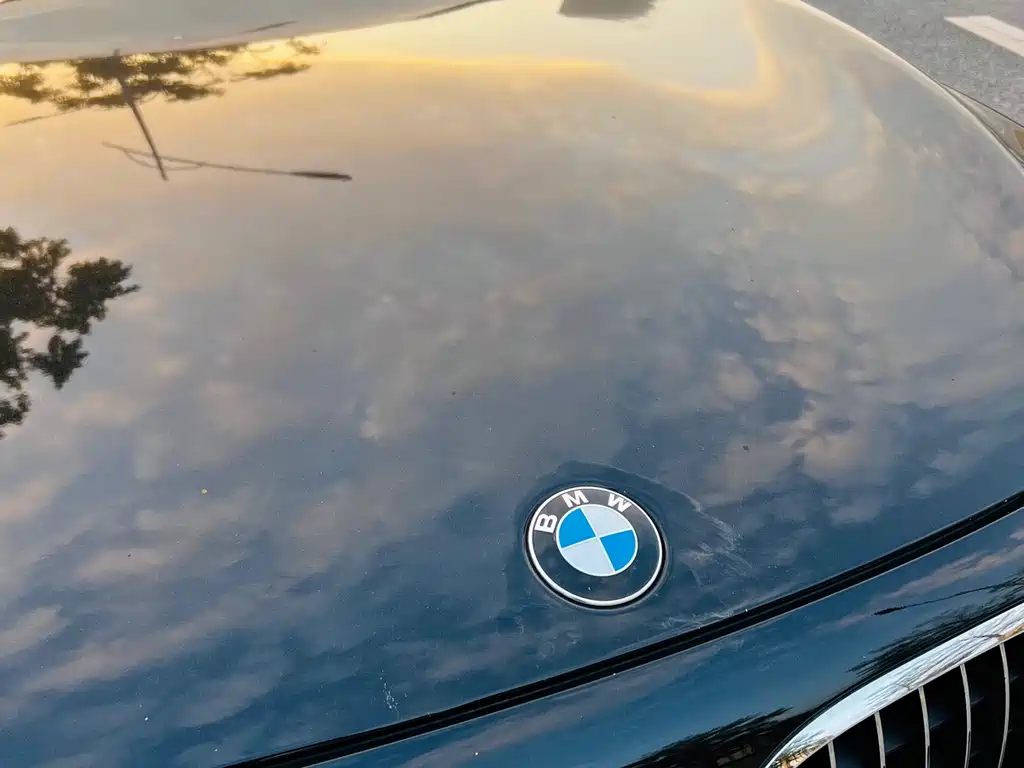 BMW BMW 7 Series 2011 740Li Steinway & Sons Limited Edition 2011 - thumbnail 7