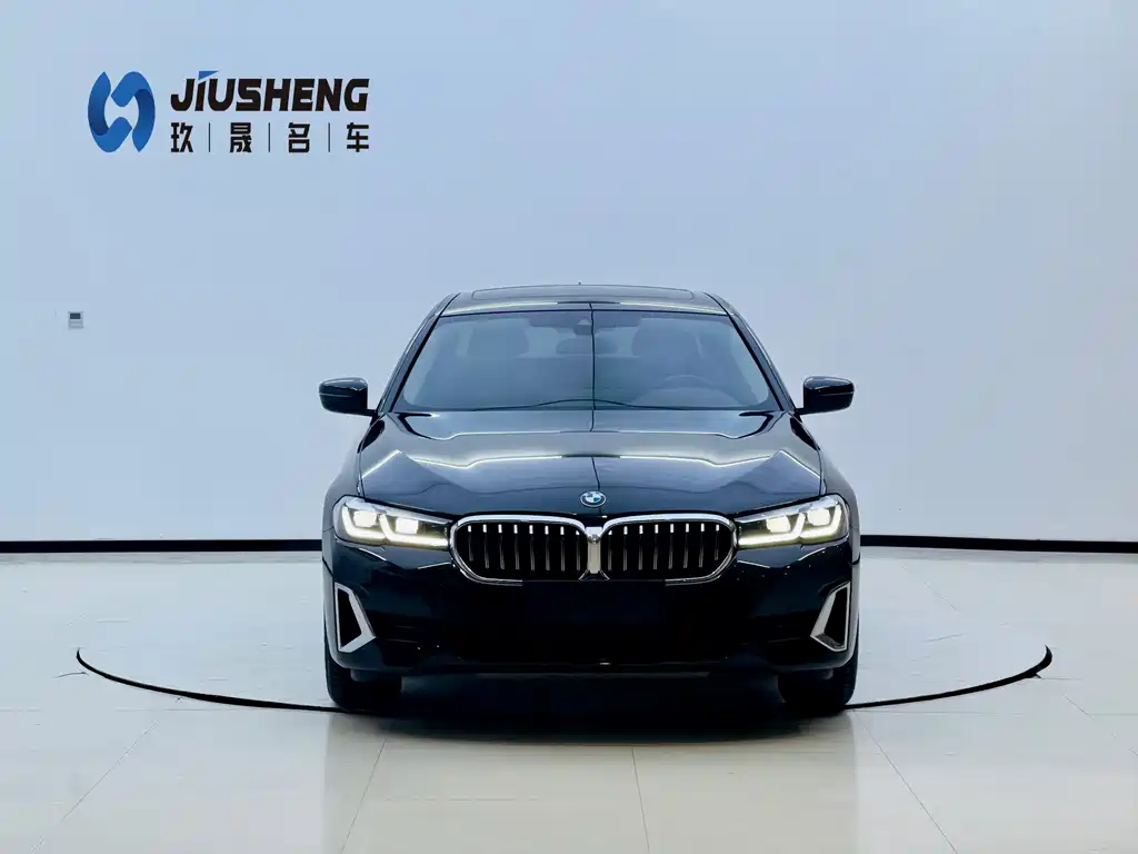 BMW BMW 5 Series 2021 530Li Leading Model Luxury Package 2021 - thumbnail 2