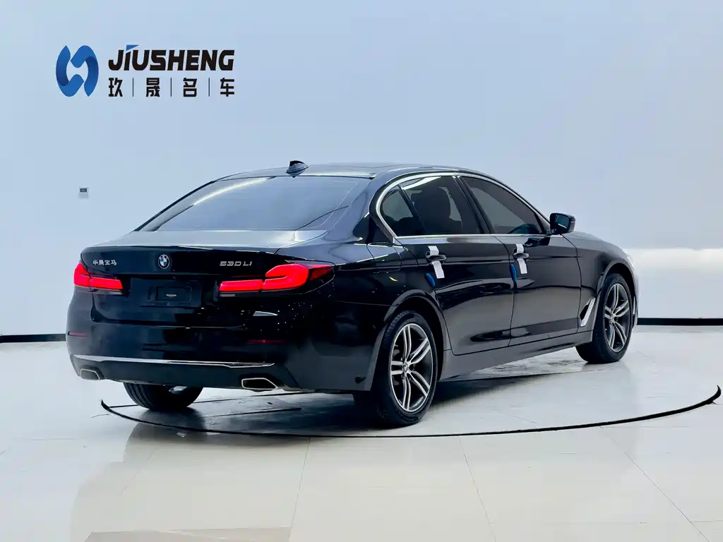 BMW BMW 5 Series 2021 530Li Leading Model Luxury Package 2021 - thumbnail 6