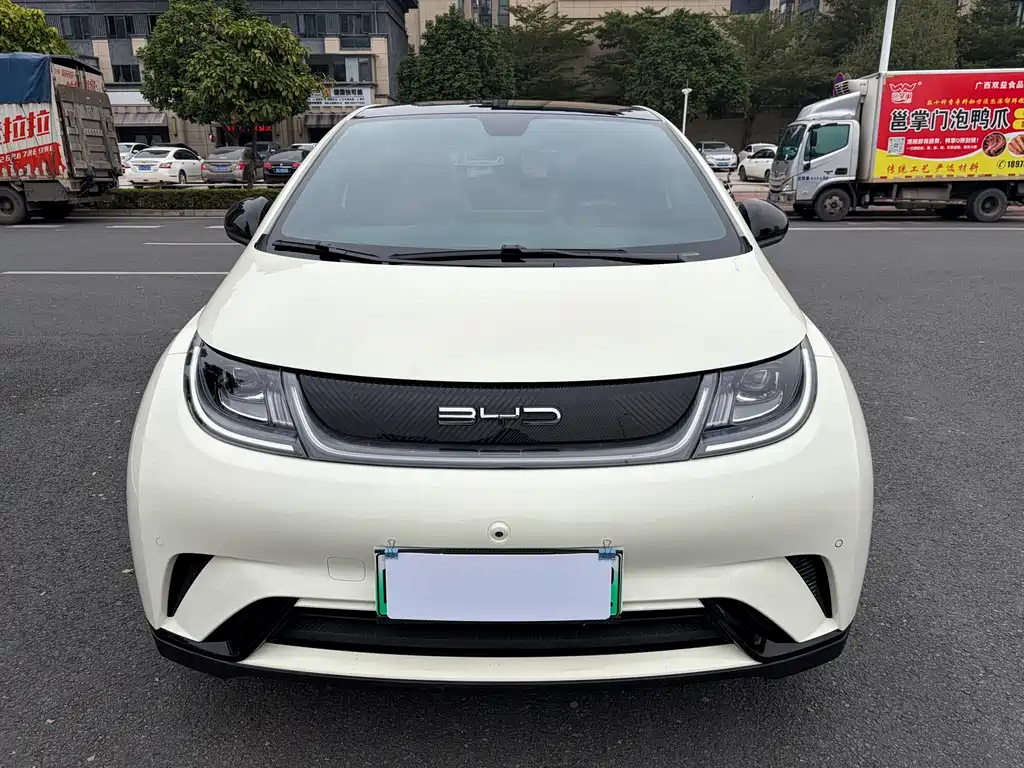 BYD Dolphin 2023 Model 420km Fashion Edition 2023 - thumbnail 2