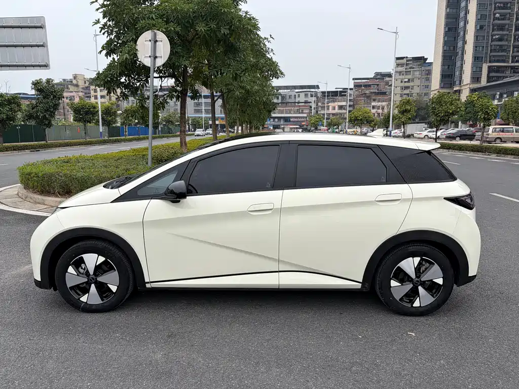 BYD Dolphin 2023 Model 420km Fashion Edition 2023 - thumbnail 4