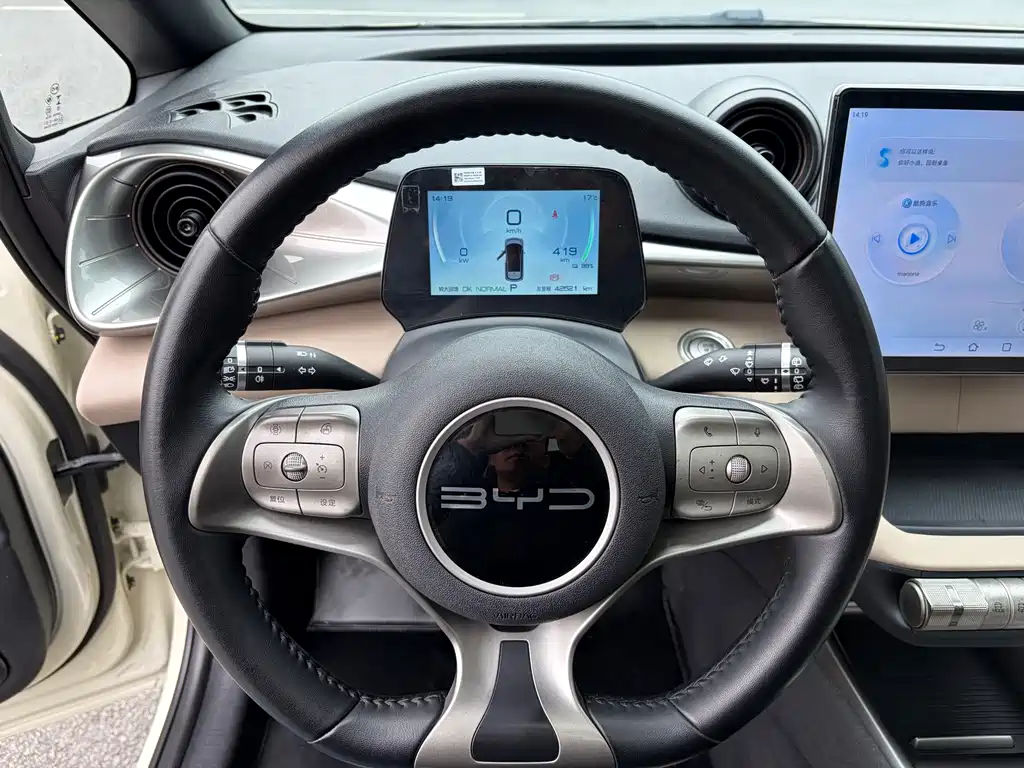 BYD Dolphin 2023 Model 420km Fashion Edition 2023 - thumbnail 15