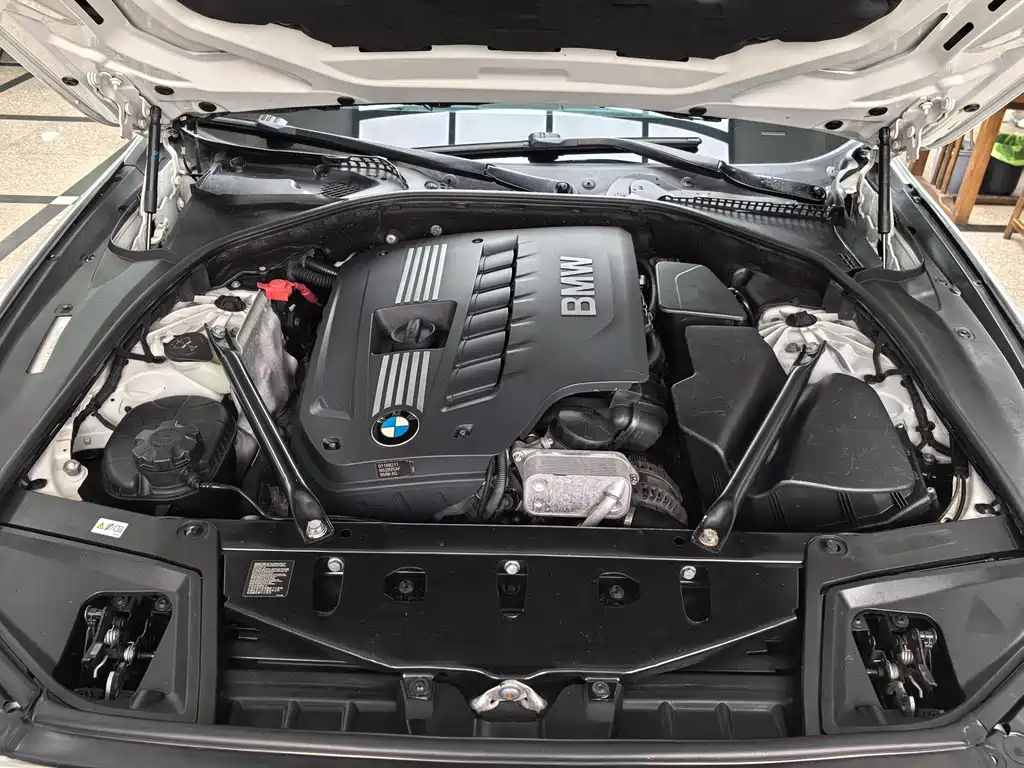 BMW BMW 5 Series 2012 523Li Luxury Edition 2012 - thumbnail 25