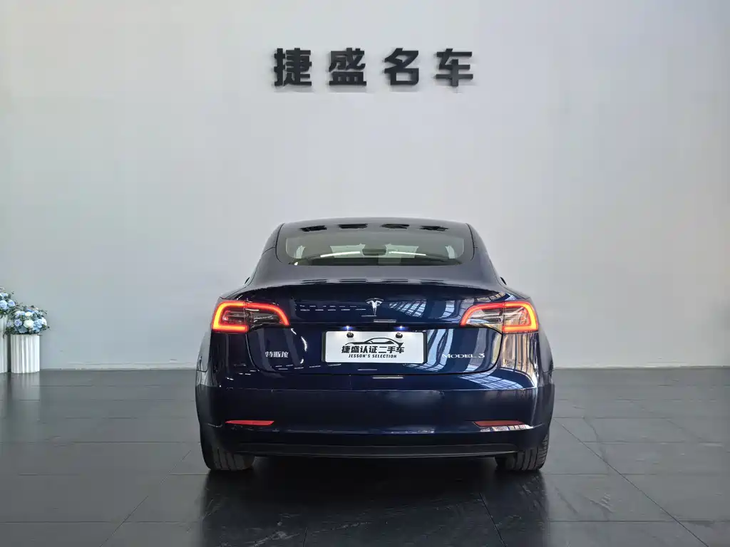 Tesla Model 3 Standard Range Rear-Wheel Drive Plus 2020 Refresh 2021 - thumbnail 5