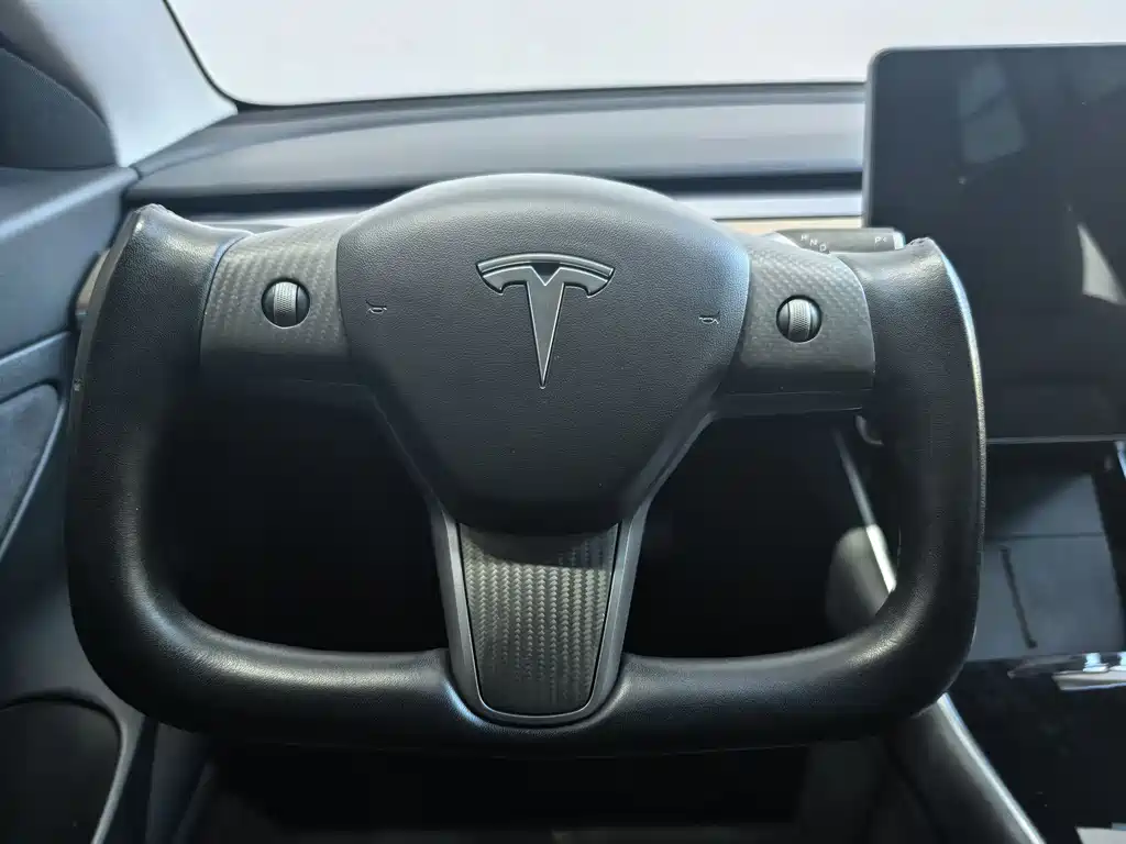 Tesla Model 3 Standard Range Rear-Wheel Drive Plus 2020 Refresh 2021 - thumbnail 7
