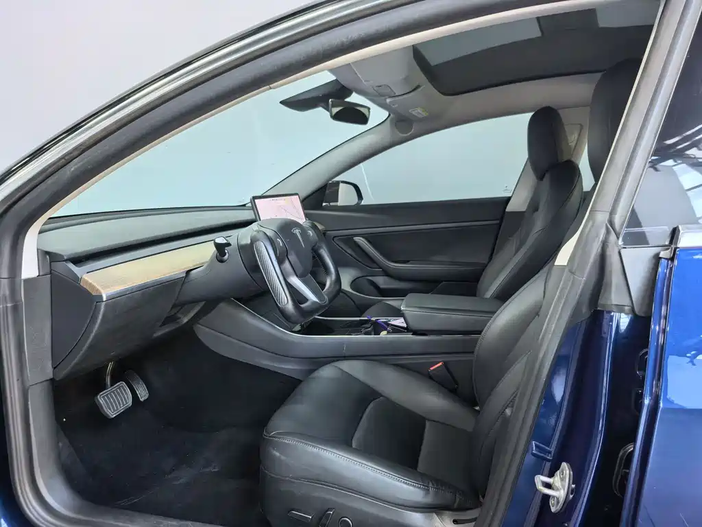 Tesla Model 3 Standard Range Rear-Wheel Drive Plus 2020 Refresh 2021 - thumbnail 11
