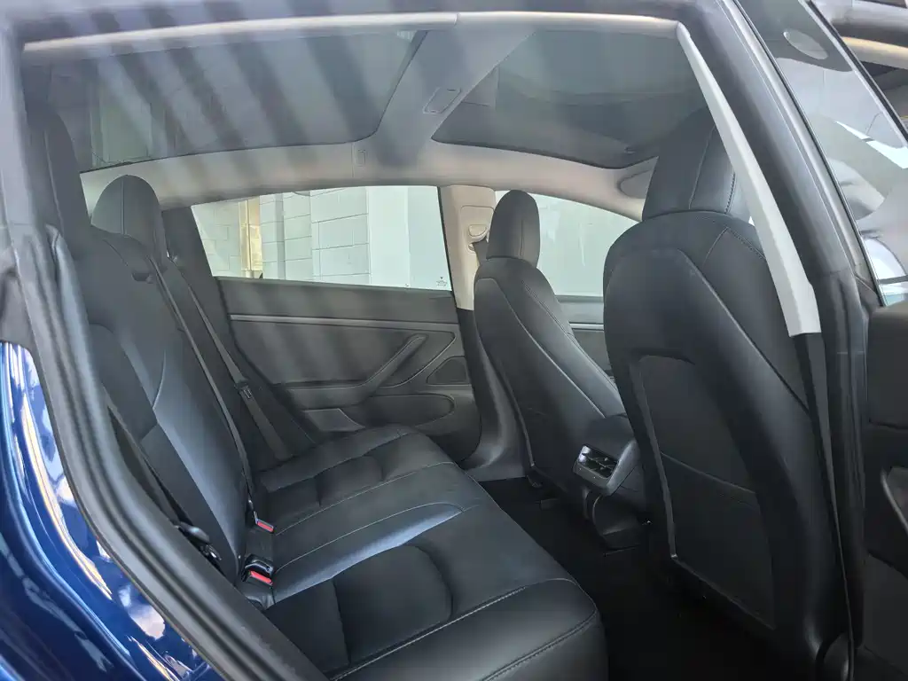 Tesla Model 3 Standard Range Rear-Wheel Drive Plus 2020 Refresh 2021 - thumbnail 15