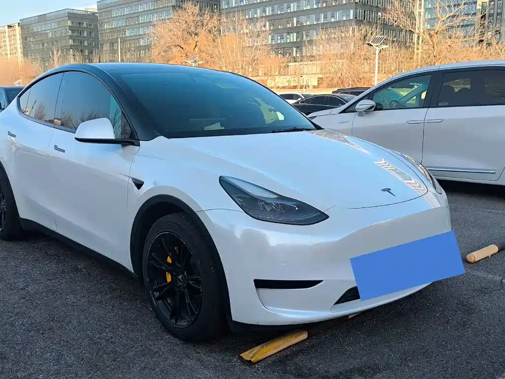 Tesla Model Y 2022 Rear-Wheel Drive Version 2022 - thumbnail 2