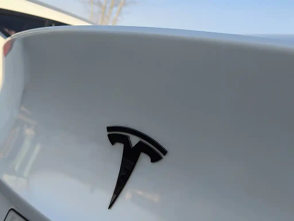 Tesla Model Y 2022 Rear-Wheel Drive Version 2022 - thumbnail 12
