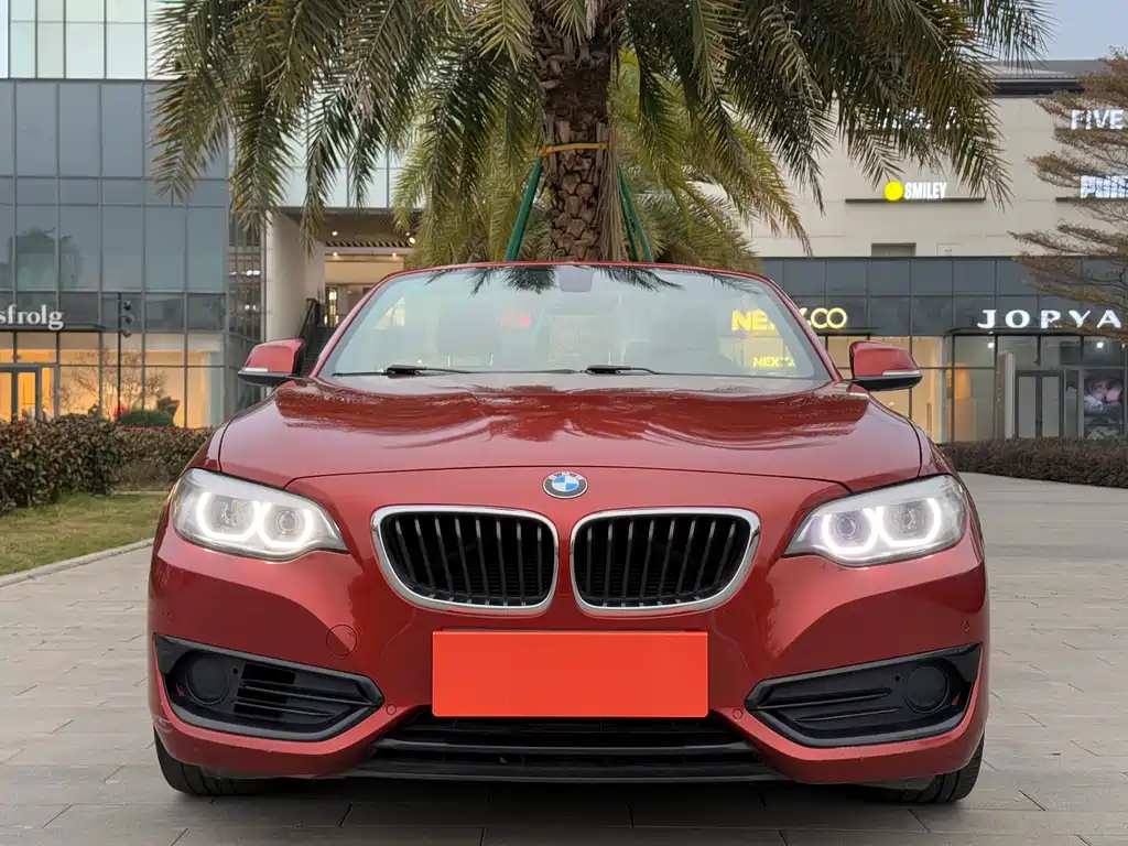 BMW BMW 2 Series Convertible 2018 220i M Sport Package 2018 - thumbnail 2