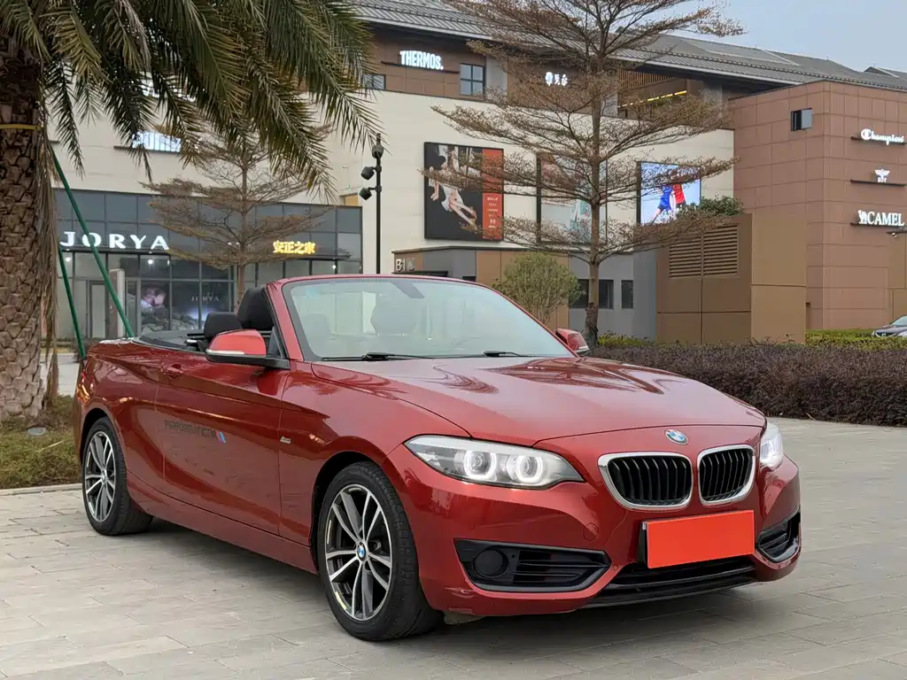 BMW BMW 2 Series Convertible 2018 220i M Sport Package 2018 - thumbnail 3