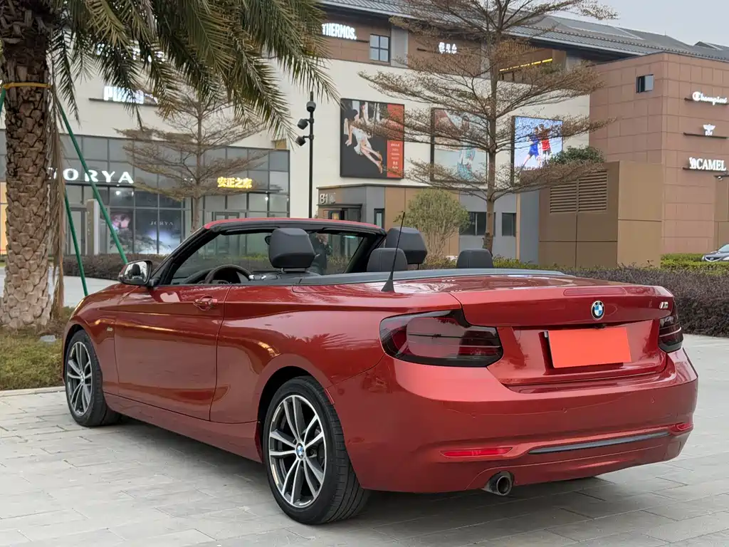 BMW BMW 2 Series Convertible 2018 220i M Sport Package 2018 - thumbnail 6