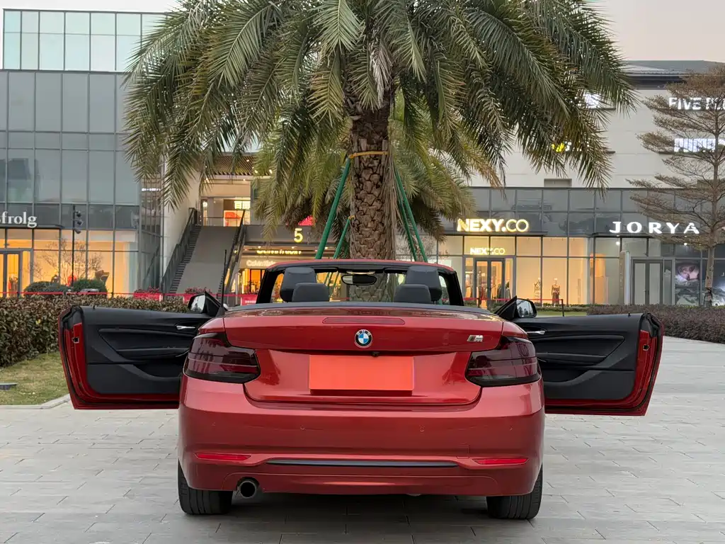 BMW BMW 2 Series Convertible 2018 220i M Sport Package 2018 - thumbnail 7