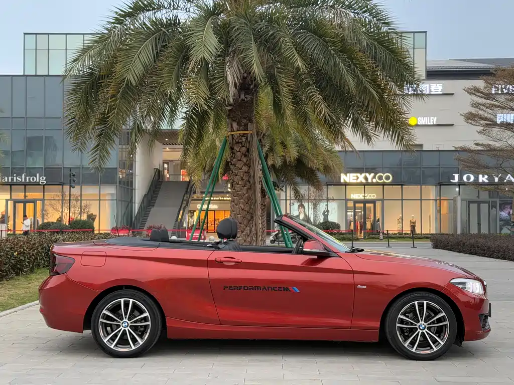 BMW BMW 2 Series Convertible 2018 220i M Sport Package 2018 - thumbnail 8