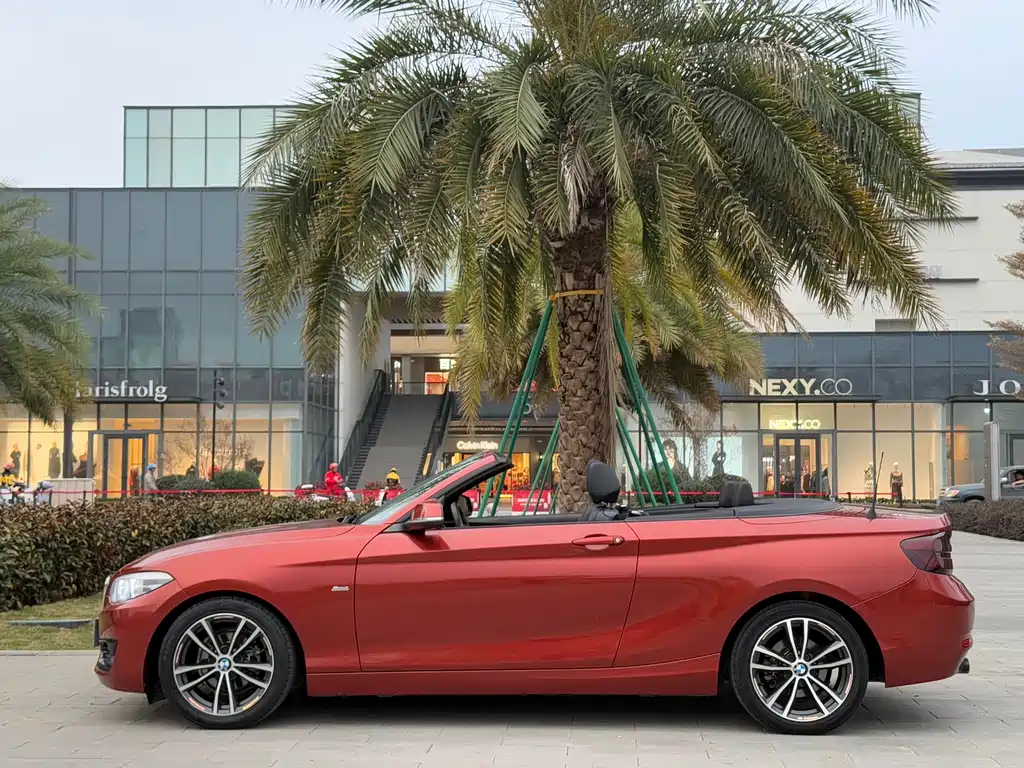 BMW BMW 2 Series Convertible 2018 220i M Sport Package 2018 - thumbnail 9