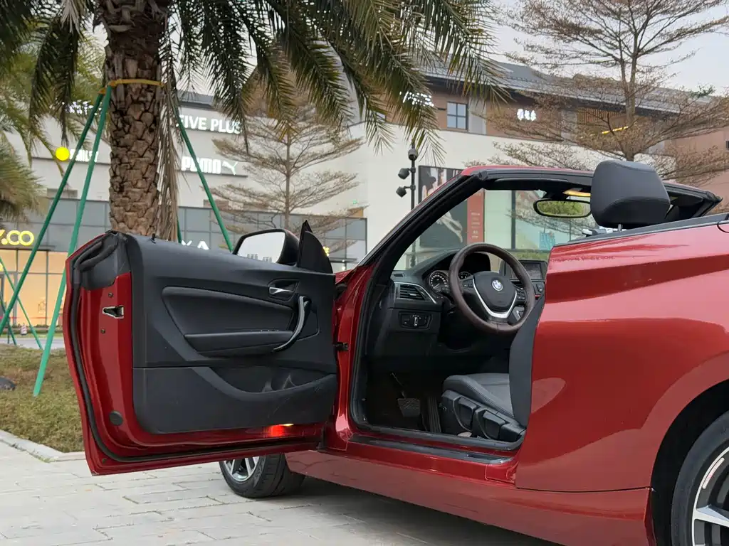 BMW BMW 2 Series Convertible 2018 220i M Sport Package 2018 - thumbnail 10