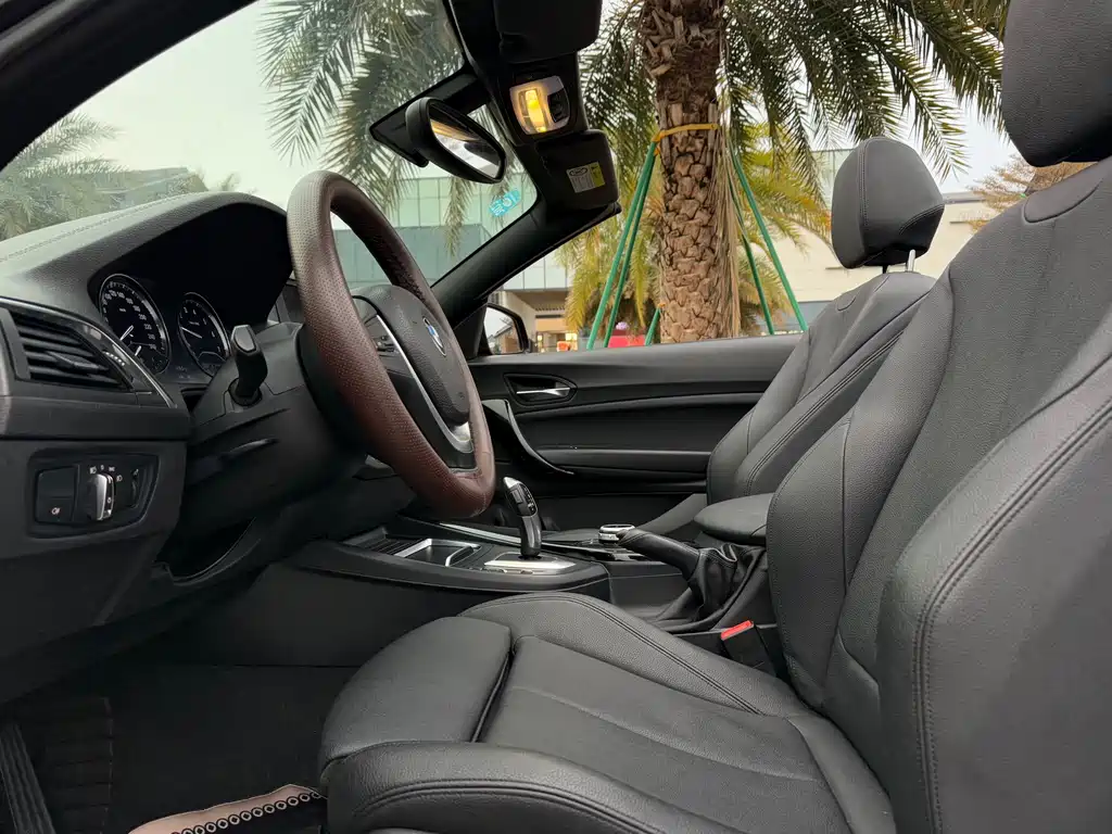 BMW BMW 2 Series Convertible 2018 220i M Sport Package 2018 - thumbnail 11