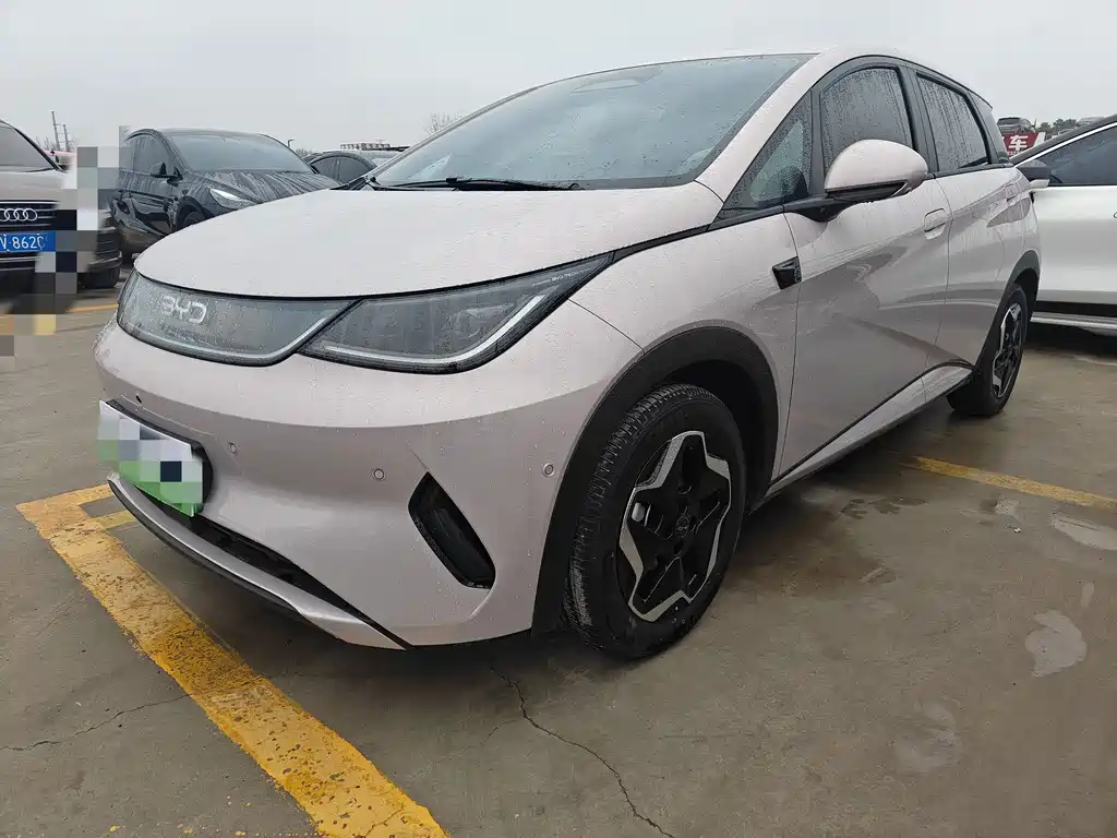 BYD Dolphin 2025 Intelligent Driving Edition 420km Freedom Edition 2025