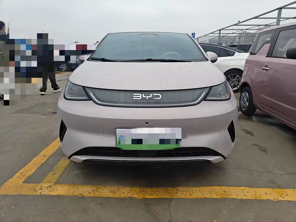 BYD Dolphin 2025 Intelligent Driving Edition 420km Freedom Edition 2025 - thumbnail 2