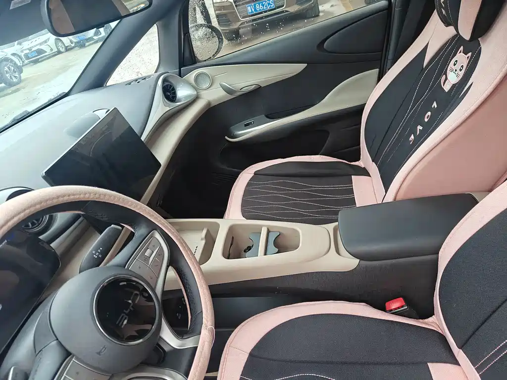 BYD Dolphin 2025 Intelligent Driving Edition 420km Freedom Edition 2025 - thumbnail 10