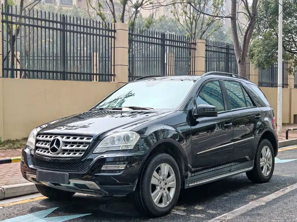 Mercedes-Benz Mercedes-Benz M-Class 2010 ML 300 4MATIC 2010