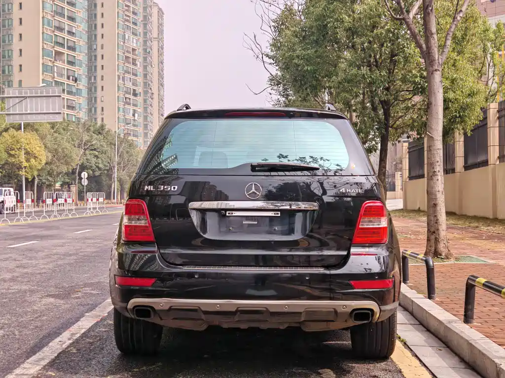 Mercedes-Benz Mercedes-Benz M-Class 2010 ML 300 4MATIC 2010 - thumbnail 6