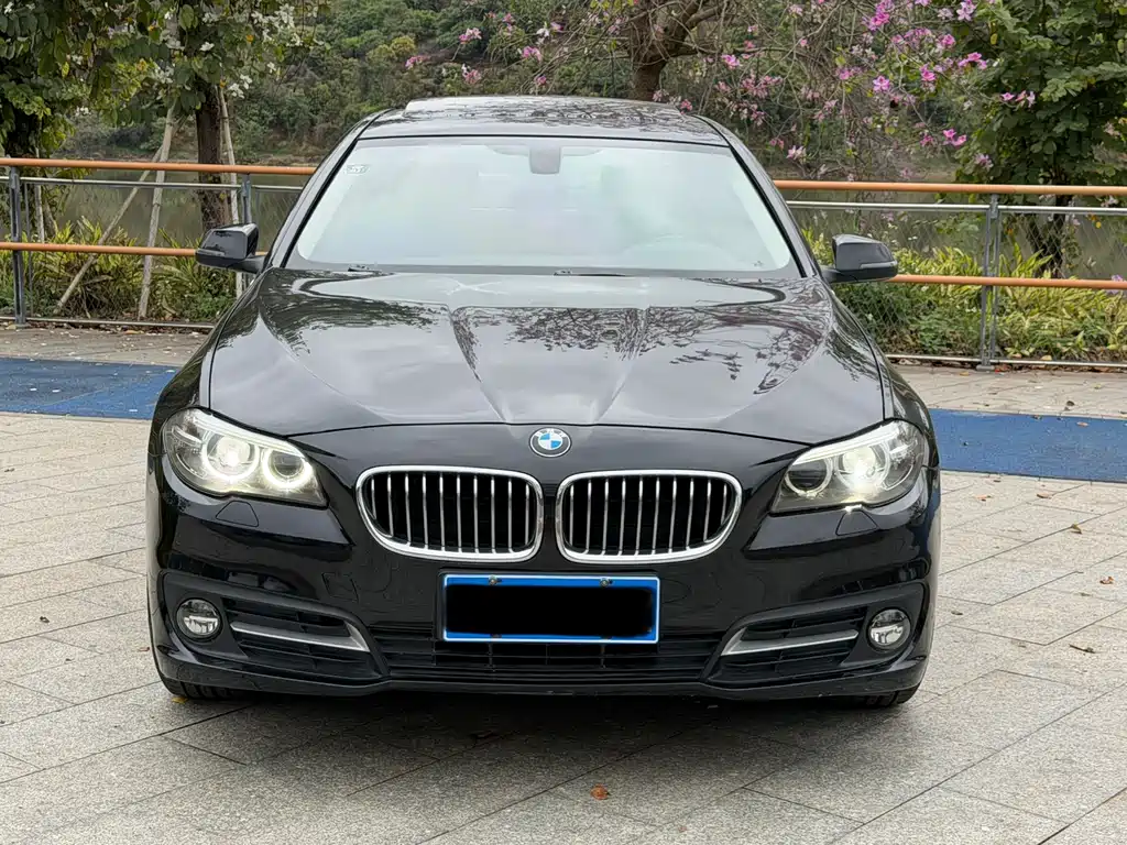 BMW BMW 5 Series 2014 525Li Leading Edition 2014 - thumbnail 2