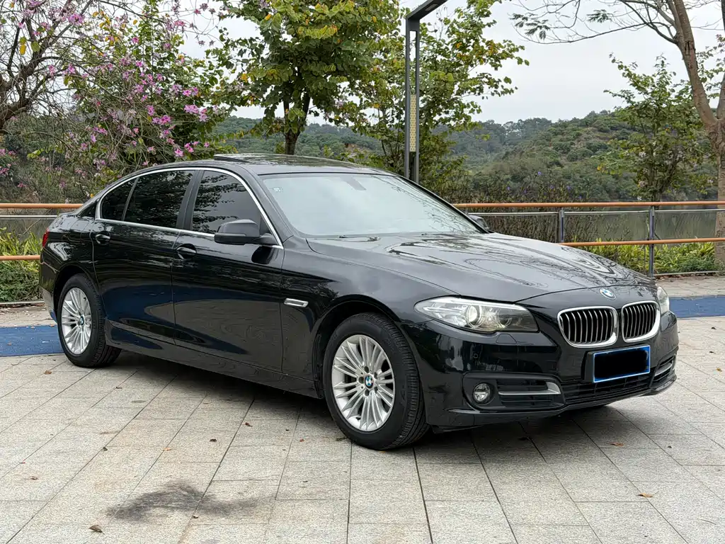 BMW BMW 5 Series 2014 525Li Leading Edition 2014 - thumbnail 3