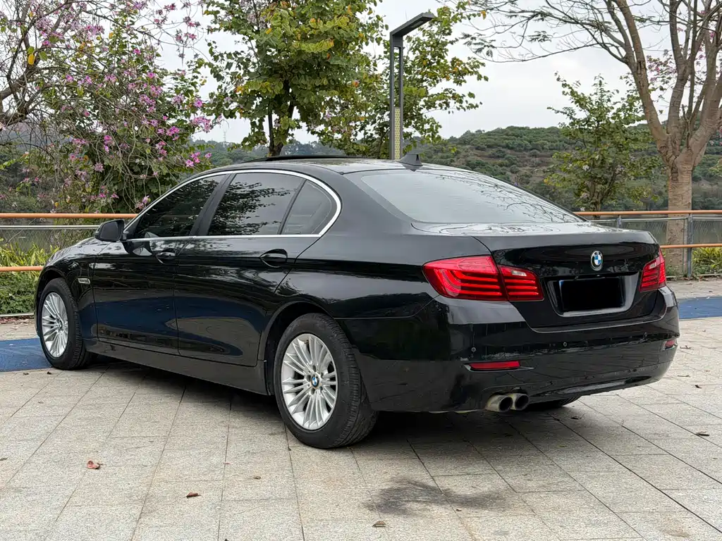BMW BMW 5 Series 2014 525Li Leading Edition 2014 - thumbnail 7