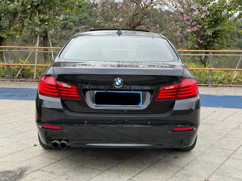 BMW BMW 5 Series 2014 525Li Leading Edition 2014 - thumbnail 8