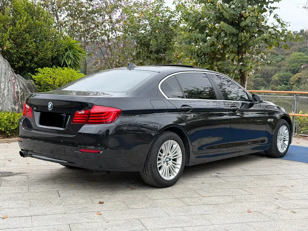 BMW BMW 5 Series 2014 525Li Leading Edition 2014 - thumbnail 9