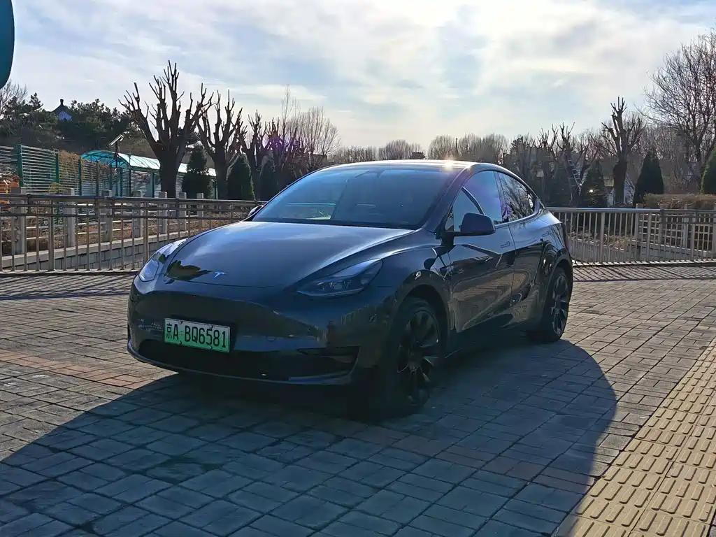 Tesla Model Y 2024 Rear-Wheel Drive 2024 - thumbnail 2